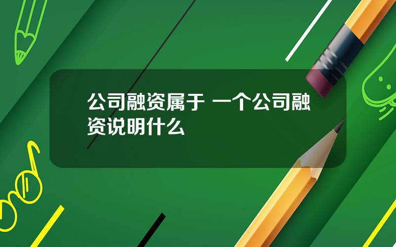 公司融资属于 一个公司融资说明什么